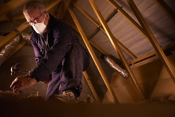 Best Insulation Removal Services  in Russiaville, IN